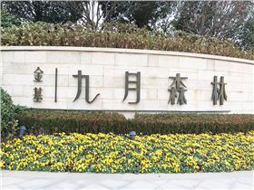南京浦口区江浦街道-南京九月森林C2-63