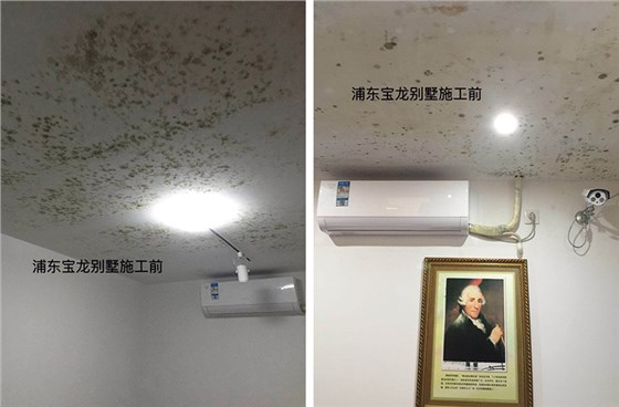 别墅地下室发霉