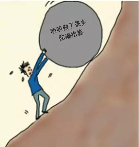 20190215-4
