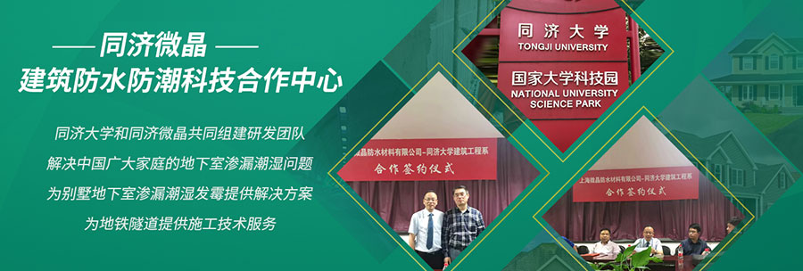 纵横联盟|别墅地下室防潮