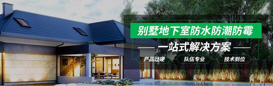 纵横联盟|别墅地下室防潮