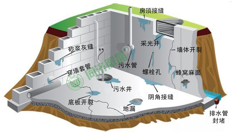 纵横联盟|别墅地下室防水防潮防霉
