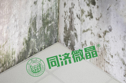 纵横联盟|别墅地下室防水防潮防霉