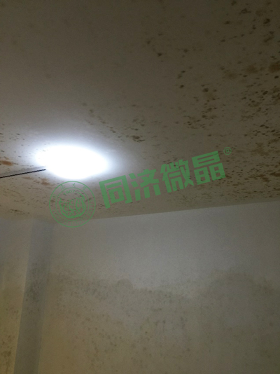 纵横联盟|别墅地下室防水防潮防霉