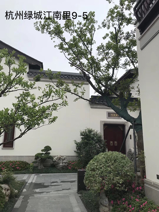 纵横联盟别墅案例