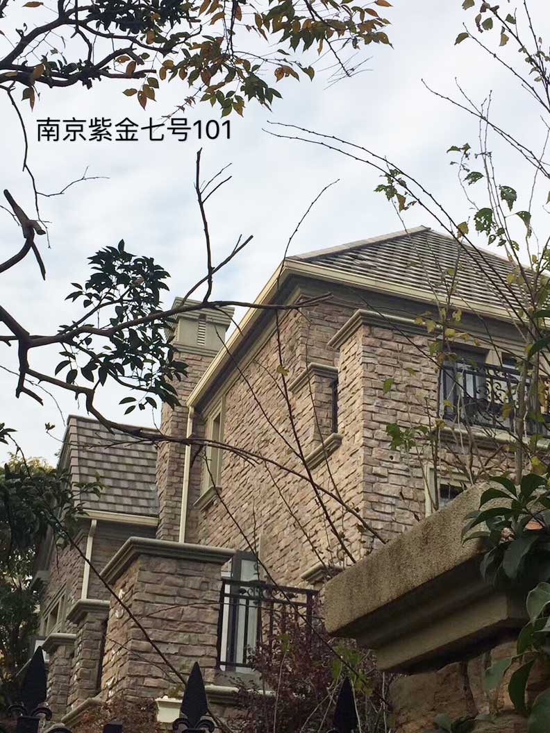 纵横联盟别墅案例