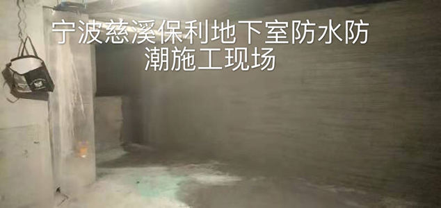 别墅地下室防水防潮防霉