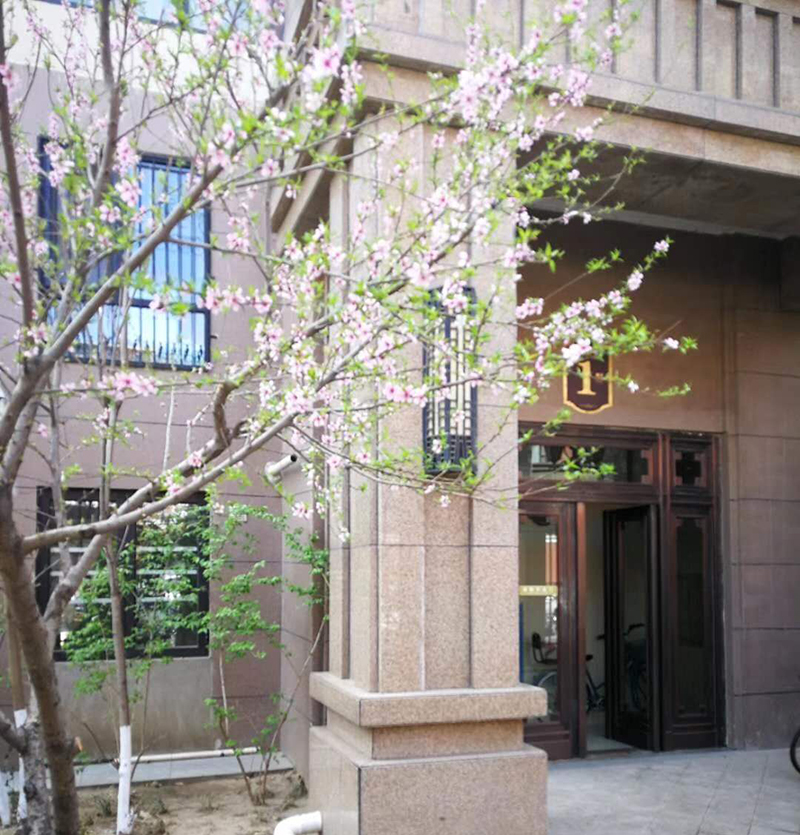 别墅地下室防水防潮防霉