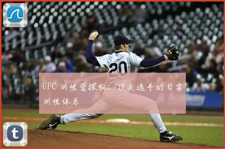 UFC 训练营探秘：顶尖选手的日常训练体系